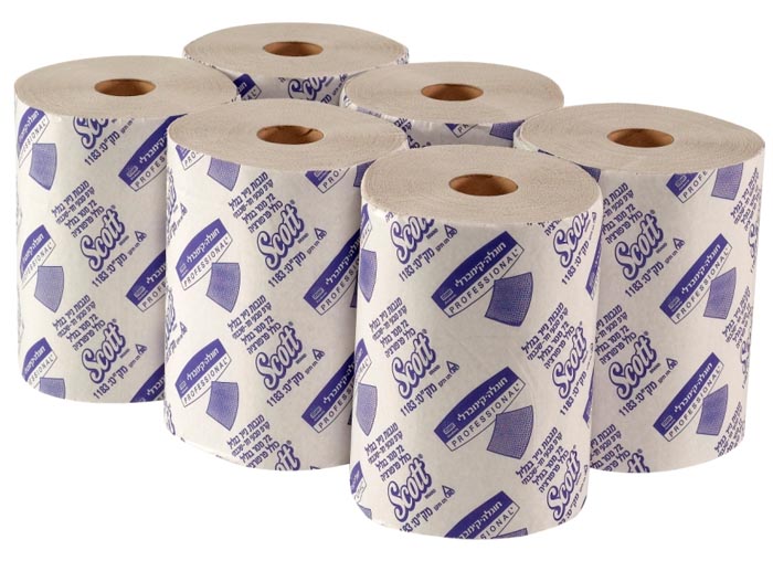 Absorbent Paper Towels (Rolls) Absorbent Paper Towels (Rolls)